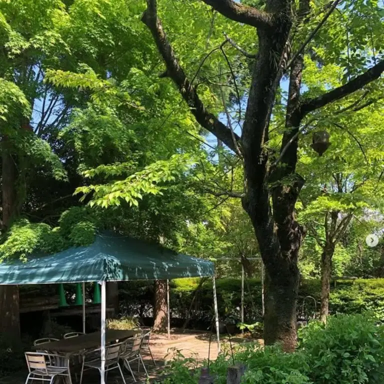 夏の蜩窯